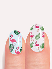 Flamant Rose