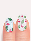 Flamant Rose